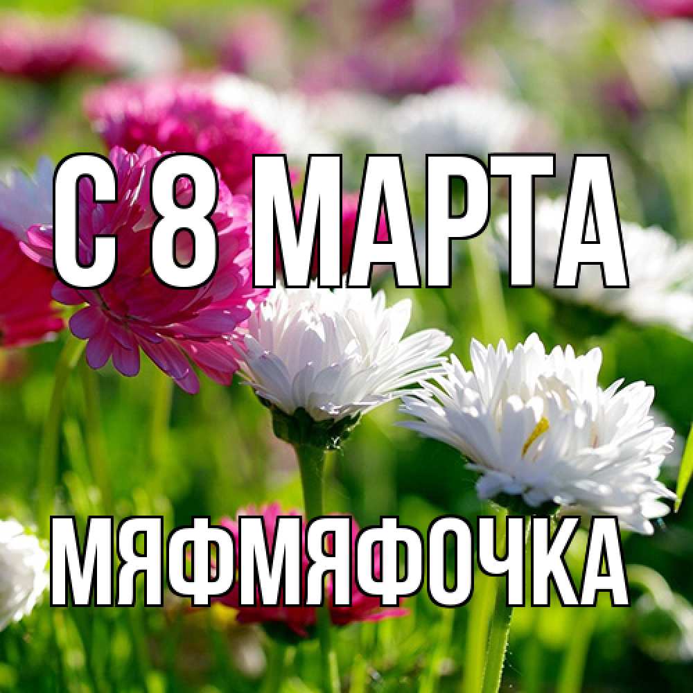 Открытка на каждый день с именем, мяфмяфочка C 8 МАРТА международный женский день 1 Прикольная открытка с пожеланием онлайн скачать бесплатно 