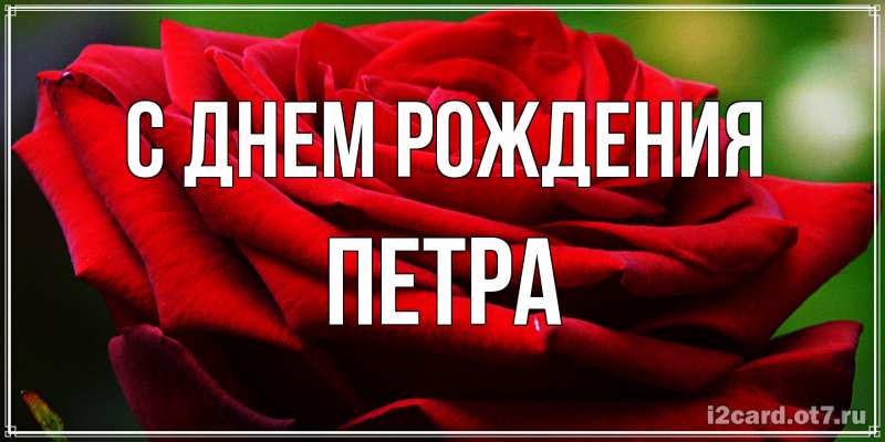 Картинка С днем рождения, Петра