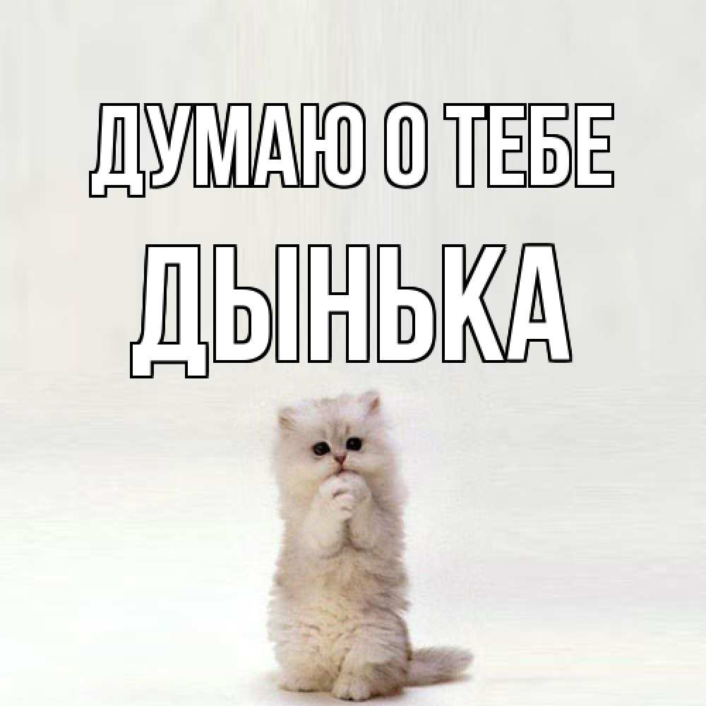 Открытка на каждый день с именем, Дынька Думаю о тебе кот стоит на задних лапах Прикольная открытка с пожеланием онлайн скачать бесплатно 