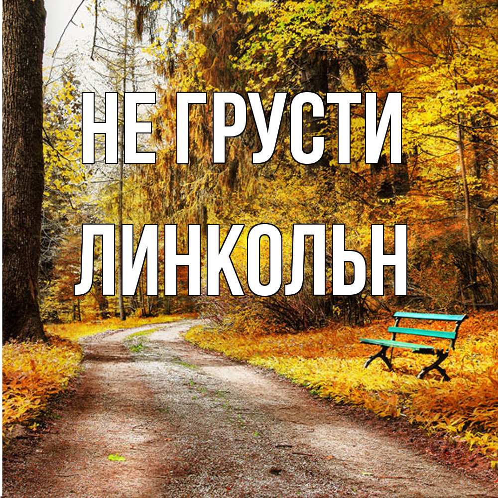 Открытка на каждый день с именем, Линкольн Не грусти зеленая лавочка Прикольная открытка с пожеланием онлайн скачать бесплатно 