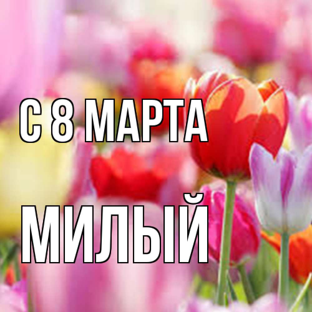 Открытка на каждый день с именем, Милый C 8 МАРТА на международный женский день 2 Прикольная открытка с пожеланием онлайн скачать бесплатно 