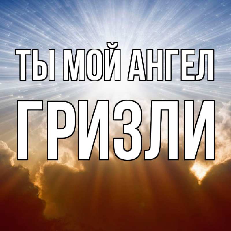 Картинка Ты мой ангел, Гризли