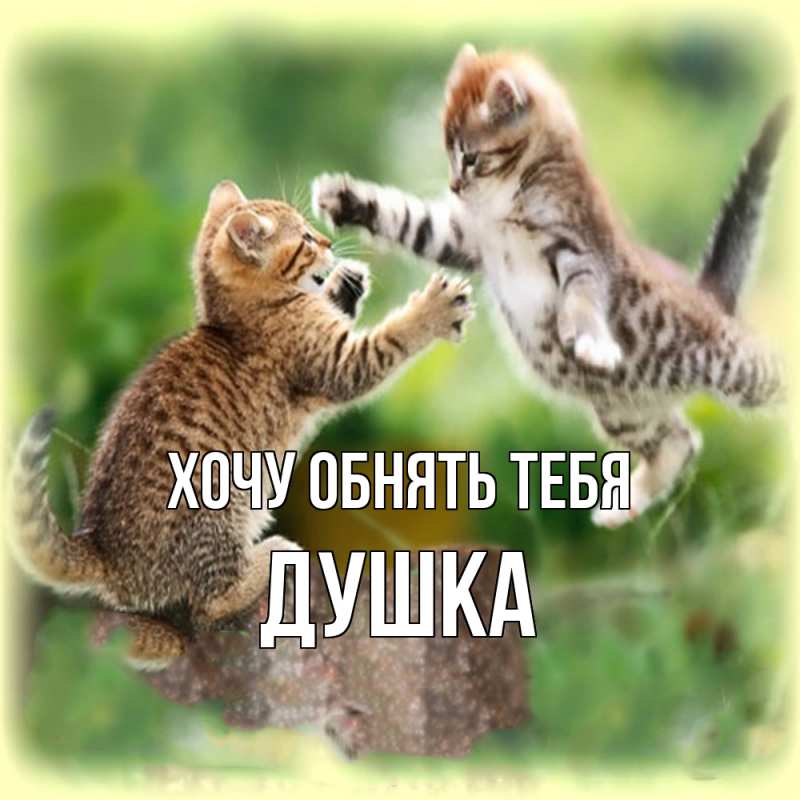 Картинка Хочу обнять тебя, Душка