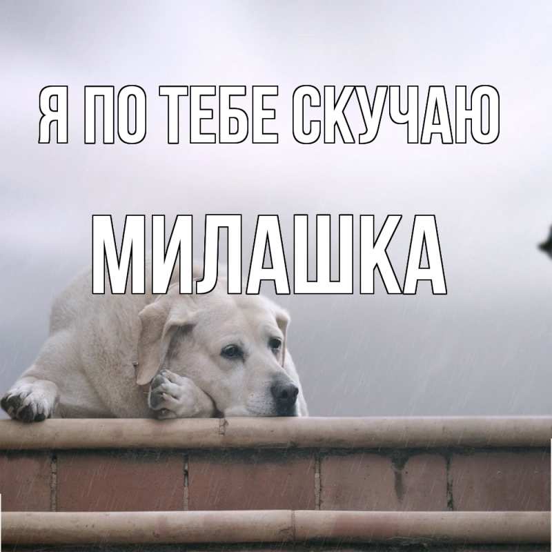 Картинка Я по тебе скучаю, Милашка