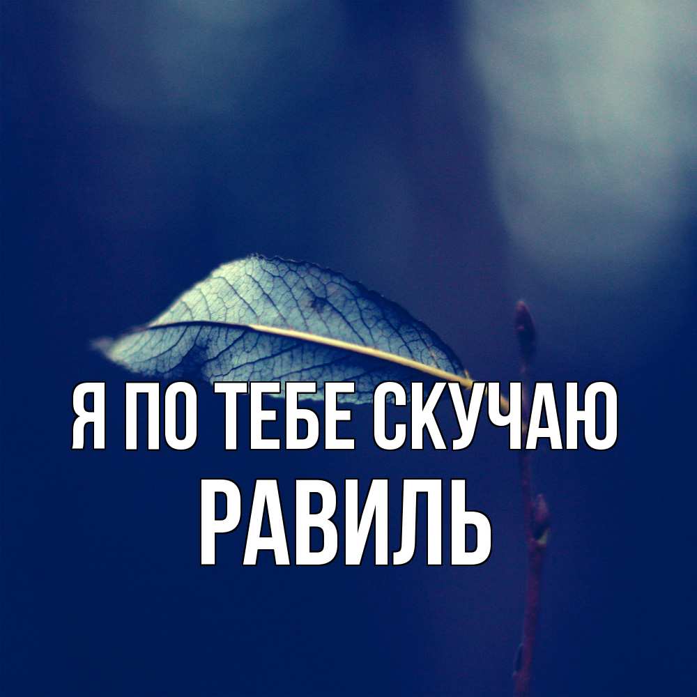 Открытка на каждый день с именем, Равиль Я по тебе скучаю одна ветка 1 Прикольная открытка с пожеланием онлайн скачать бесплатно 