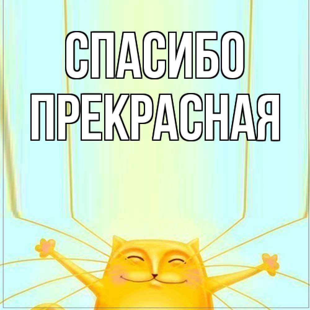 Открытка на каждый день с именем, Прекрасная Спасибо кот с усами благодарит Прикольная открытка с пожеланием онлайн скачать бесплатно 
