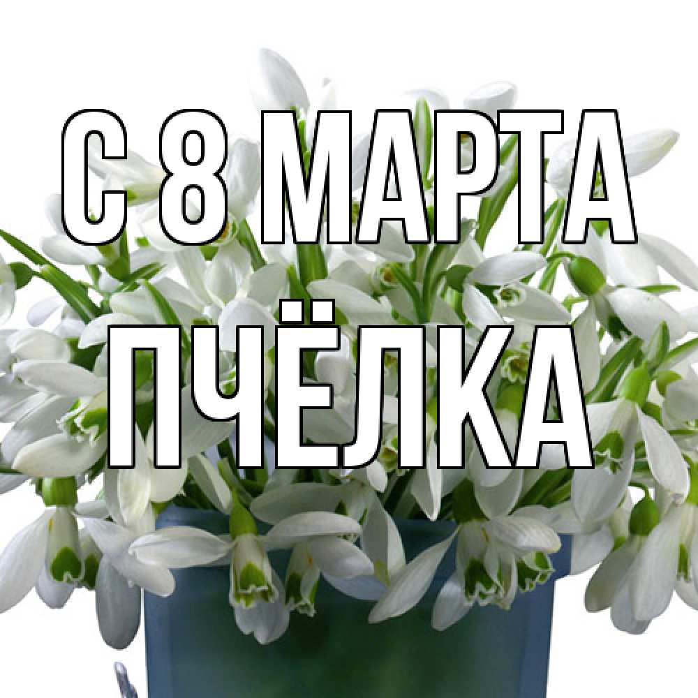 Открытка на каждый день с именем, Пчёлка C 8 МАРТА цветы к международному женскому дню Прикольная открытка с пожеланием онлайн скачать бесплатно 