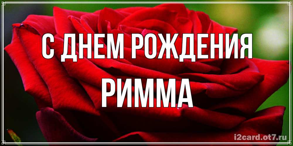 Открытка на каждый день с именем, Римма С днем рождения розочка очень красивая Прикольная открытка с пожеланием онлайн скачать бесплатно 
