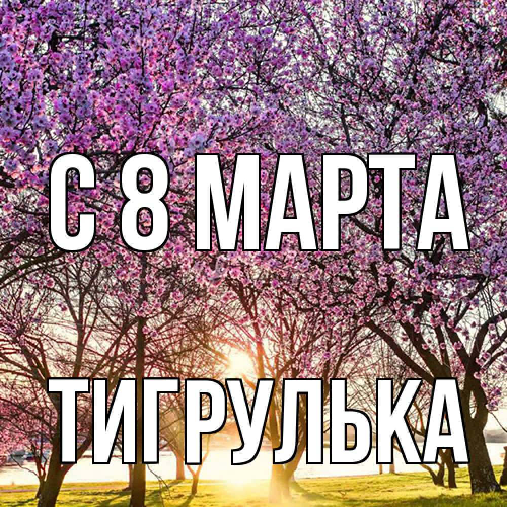 Открытка на каждый день с именем, тигрулька C 8 МАРТА международный женский день Прикольная открытка с пожеланием онлайн скачать бесплатно 