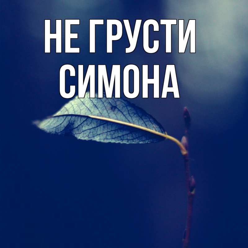 Картинка Не грусти, Симона