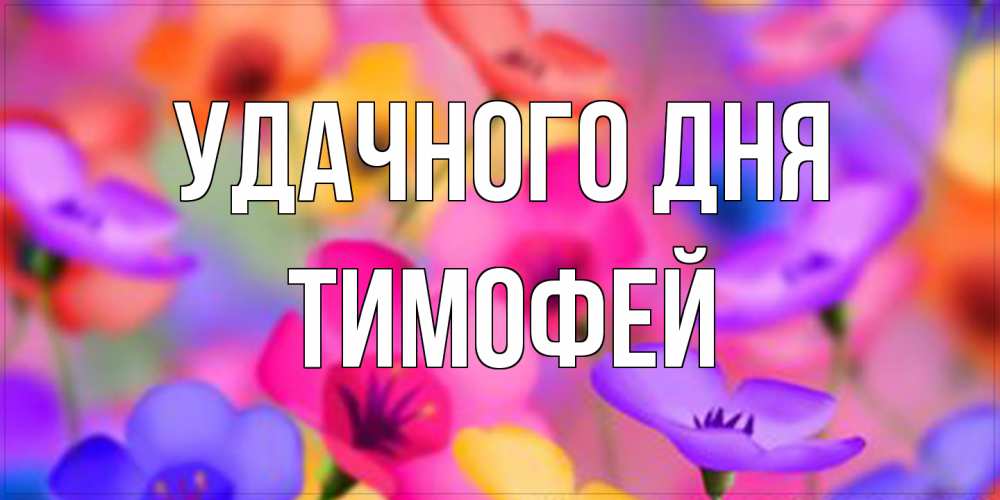 Открытка на каждый день с именем, Тимофей Удачного дня открытка повышающая настроение Прикольная открытка с пожеланием онлайн скачать бесплатно 