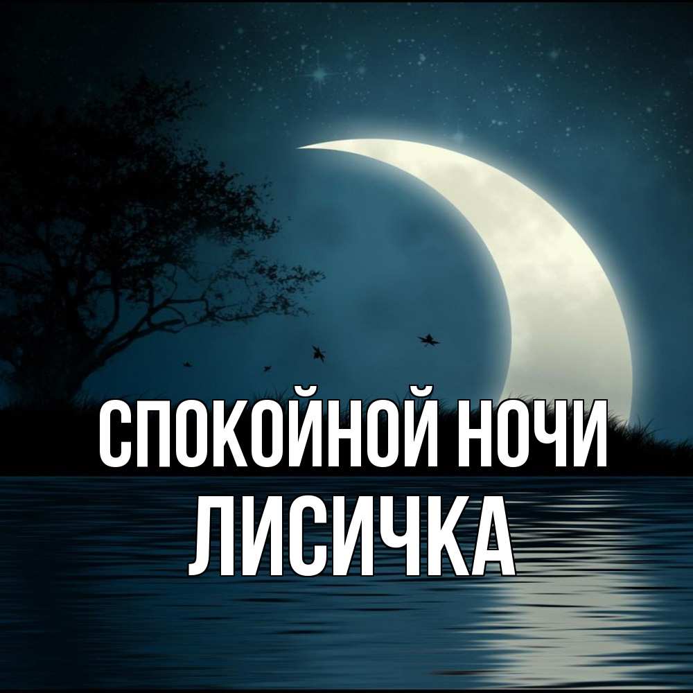 Открытка на каждый день с именем, Лисичка Спокойной ночи вода Прикольная открытка с пожеланием онлайн скачать бесплатно 
