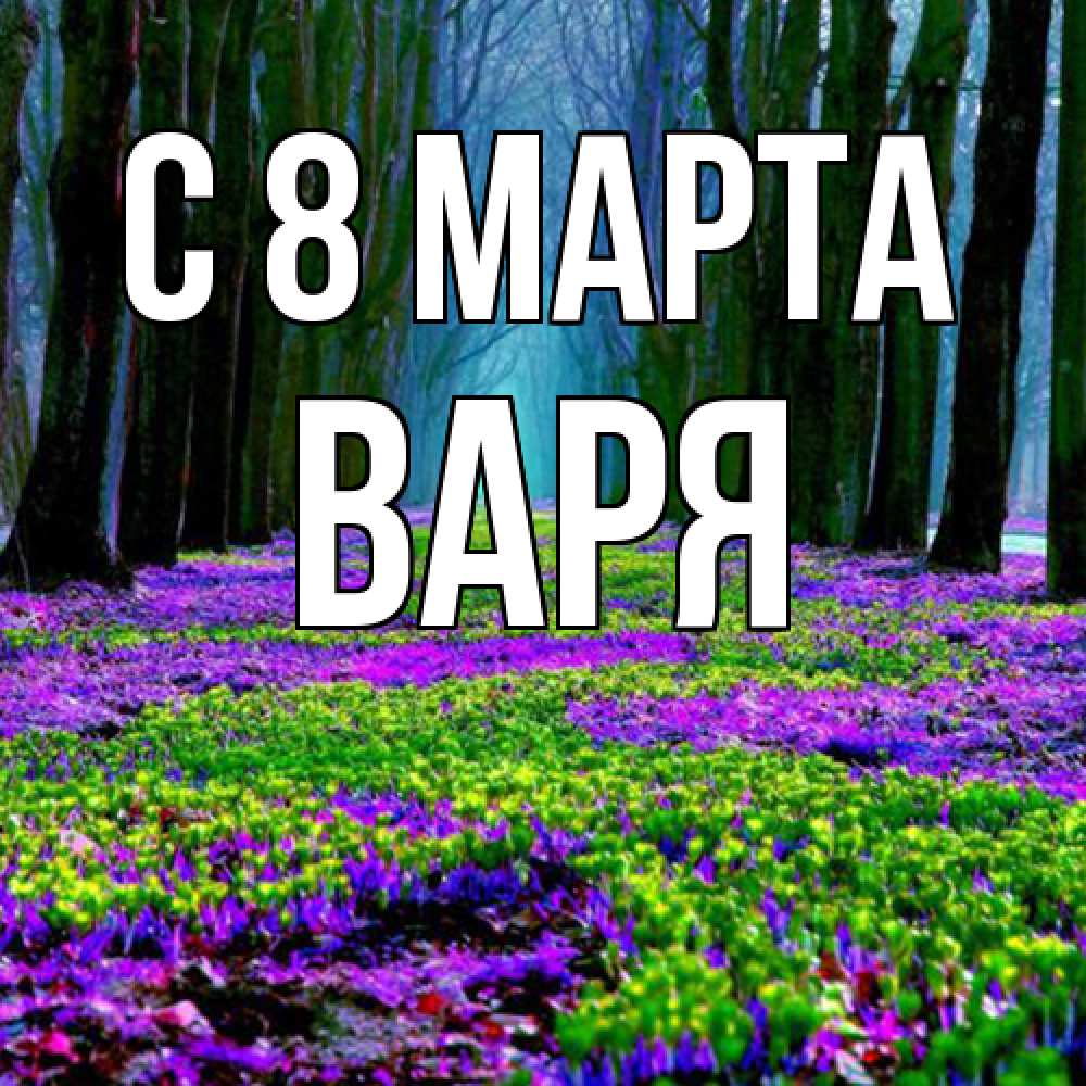 Открытка на каждый день с именем, Варя C 8 МАРТА фиолетовые цветы в лесу 1 Прикольная открытка с пожеланием онлайн скачать бесплатно 