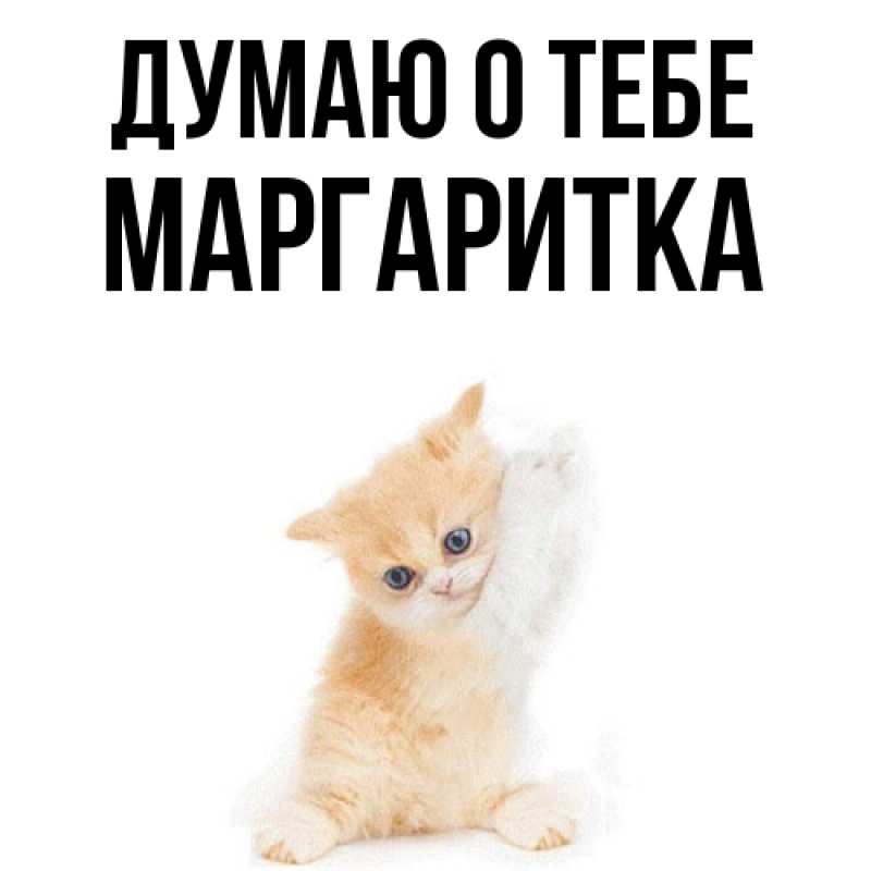 Картинка Думаю о тебе, Маргаритка