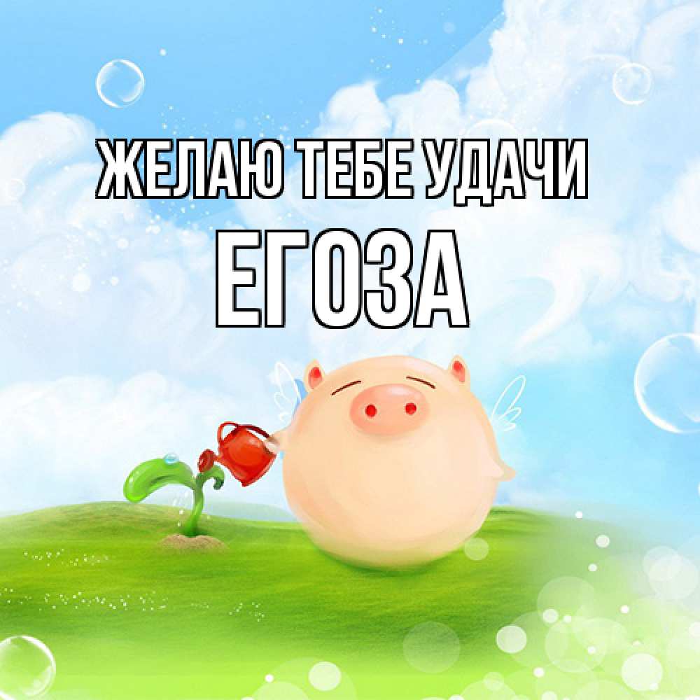 Открытка на каждый день с именем, егоза Желаю тебе удачи поросенок поливает цветок. летнее настроение Прикольная открытка с пожеланием онлайн скачать бесплатно 