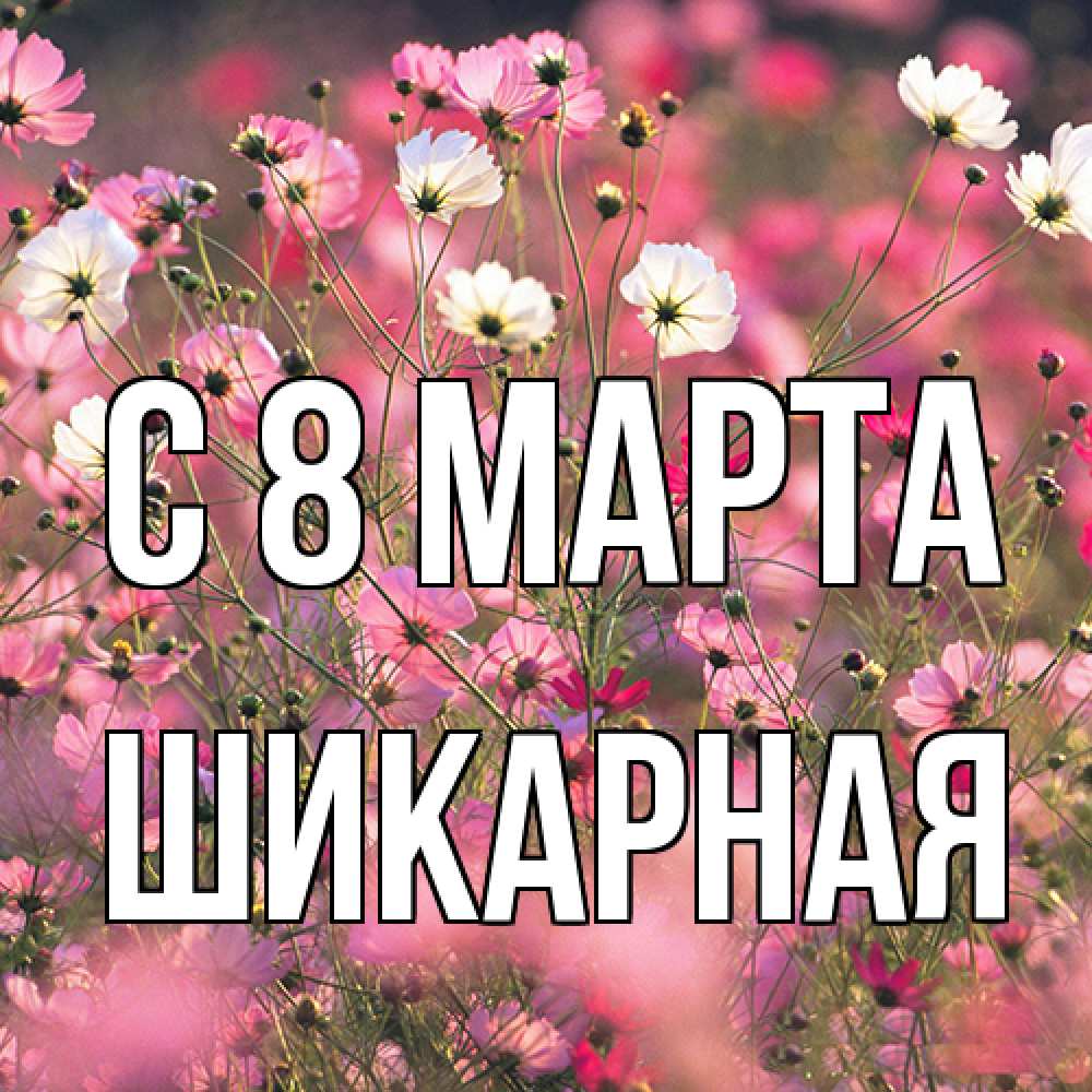 Открытка на каждый день с именем, шикарная C 8 МАРТА красиво 1 Прикольная открытка с пожеланием онлайн скачать бесплатно 