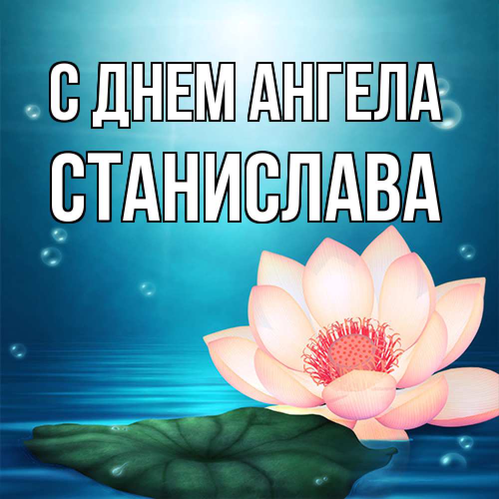 Открытка на каждый день с именем, Станислава С днем ангела кувшинка Прикольная открытка с пожеланием онлайн скачать бесплатно 
