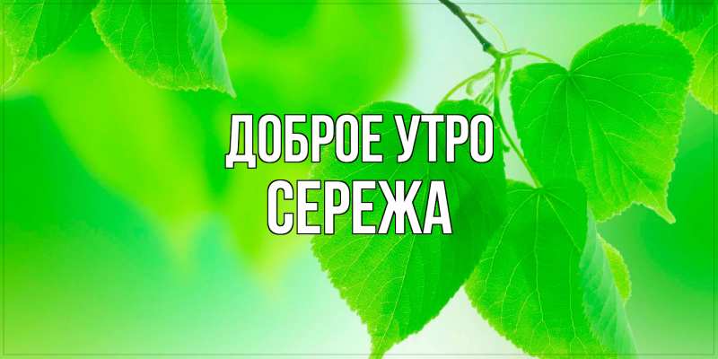 Картинка Доброе утро, Сережа