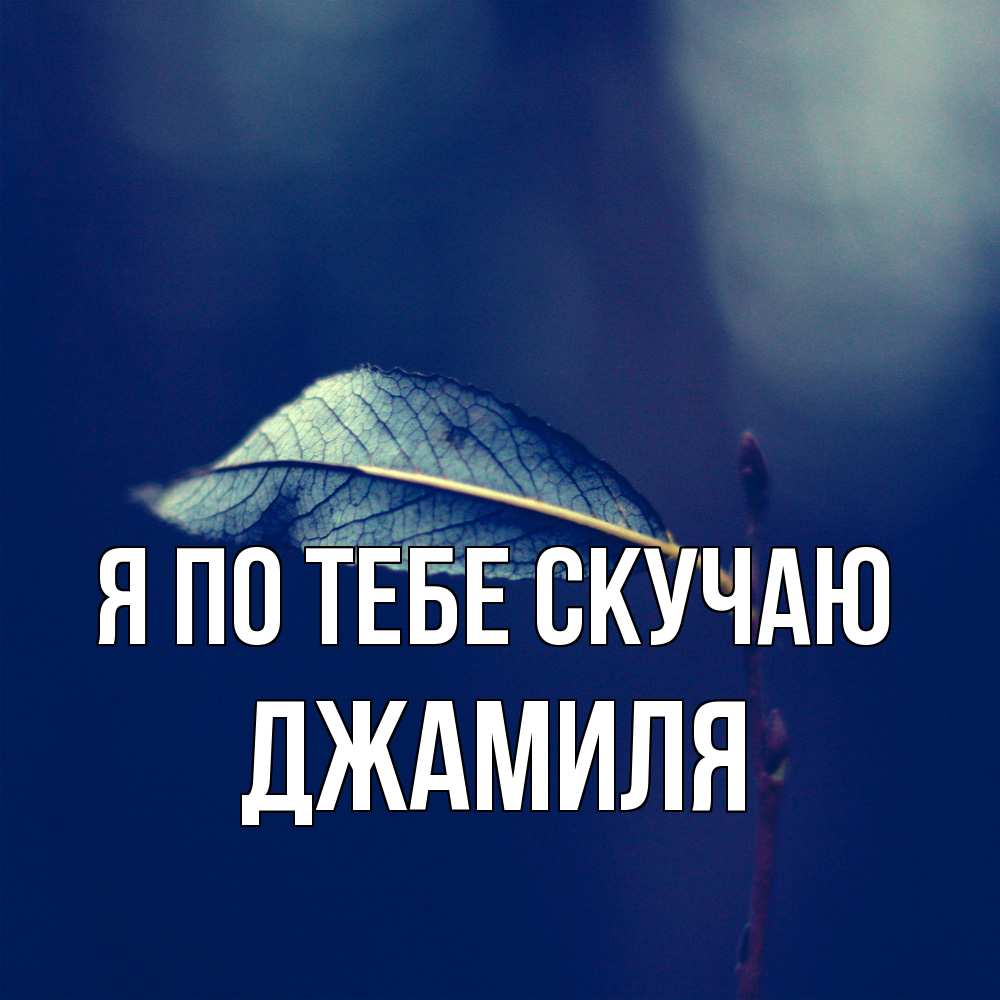 Открытка на каждый день с именем, Джамиля Я по тебе скучаю одна ветка 1 Прикольная открытка с пожеланием онлайн скачать бесплатно 