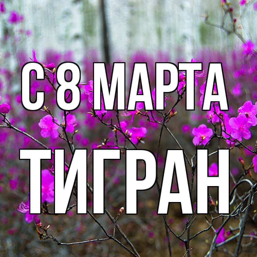 Открытка на каждый день с именем, Тигран C 8 МАРТА дикие цветы Прикольная открытка с пожеланием онлайн скачать бесплатно 
