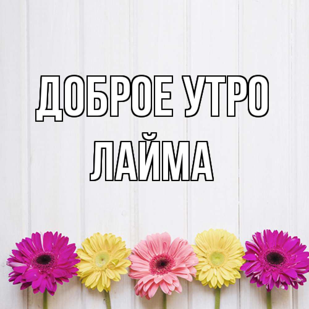 Открытка на каждый день с именем, Лайма Доброе утро красный желтый и розовый цветок Прикольная открытка с пожеланием онлайн скачать бесплатно 