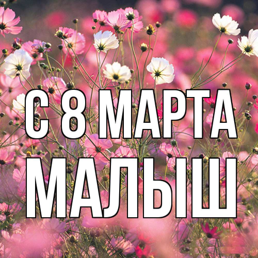 Открытка на каждый день с именем, Малыш C 8 МАРТА красиво 1 Прикольная открытка с пожеланием онлайн скачать бесплатно 