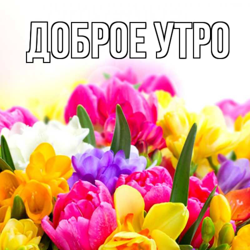 Открытка с подписью, открытка-бесплатно, Доброе утро
