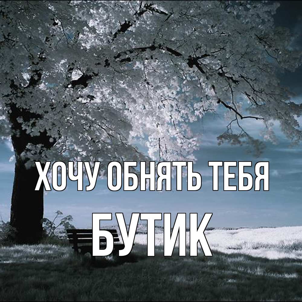 Открытка на каждый день с именем, Бутик Хочу обнять тебя дерево Прикольная открытка с пожеланием онлайн скачать бесплатно 
