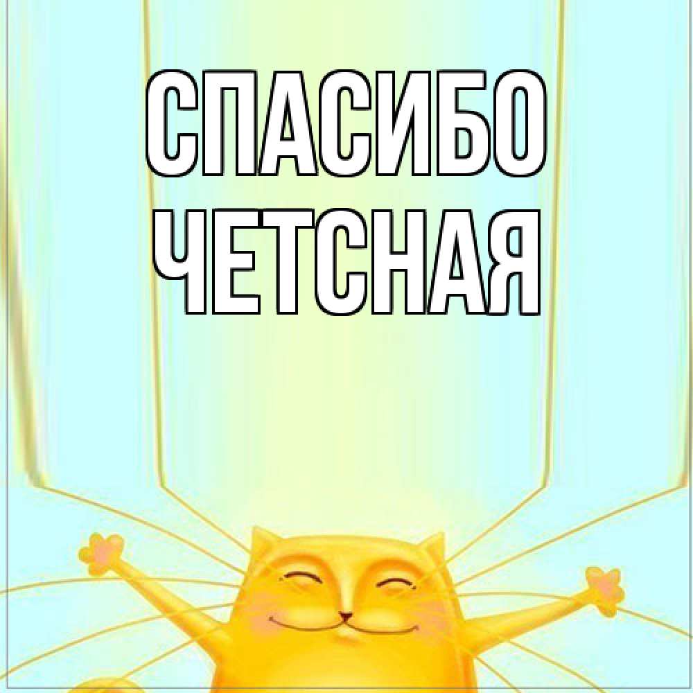 Открытка на каждый день с именем, Четсная Спасибо кот с усами благодарит Прикольная открытка с пожеланием онлайн скачать бесплатно 