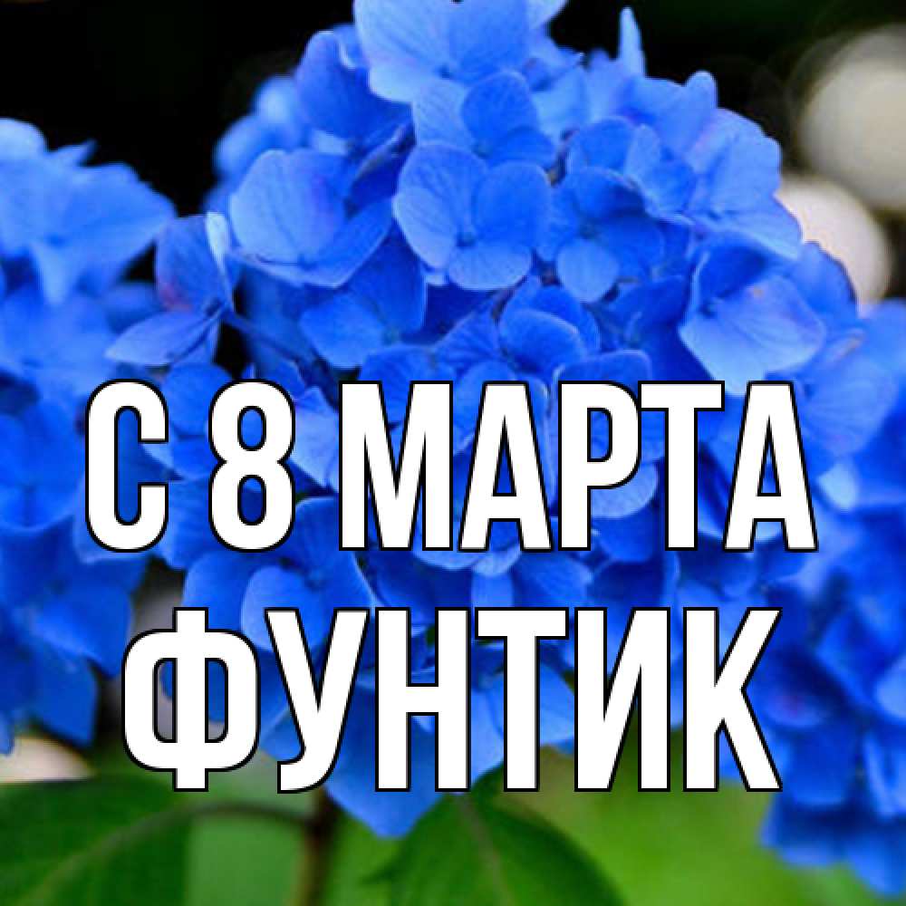 Открытка на каждый день с именем, фунтик C 8 МАРТА синие цветы Прикольная открытка с пожеланием онлайн скачать бесплатно 