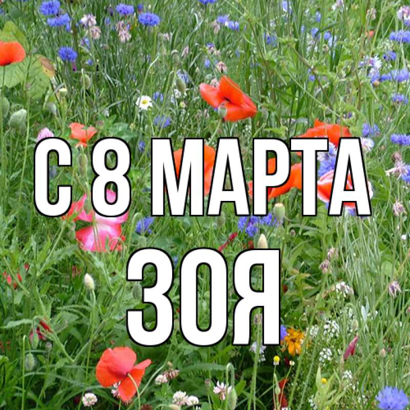 Картинка C 8 МАРТА, Зоя
