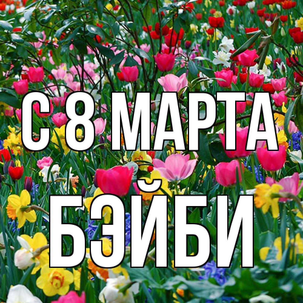 Открытка на каждый день с именем, бэйби C 8 МАРТА с международным женским днем поздравления для женщины Прикольная открытка с пожеланием онлайн скачать бесплатно 