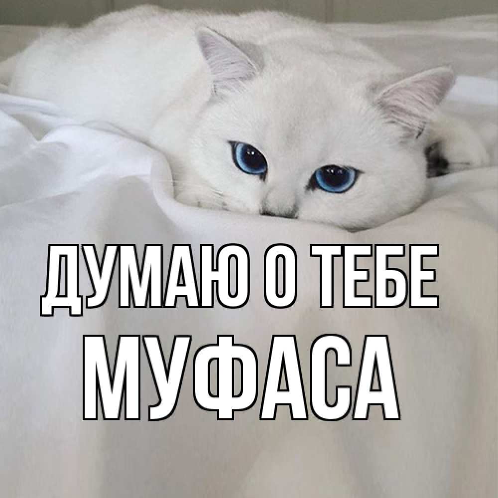 Открытка на каждый день с именем, Муфаса Думаю о тебе я очень по тебе скучаю и тоскую Прикольная открытка с пожеланием онлайн скачать бесплатно 