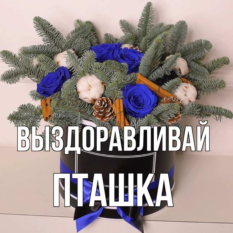 Картинка Выздоравливай, пташка