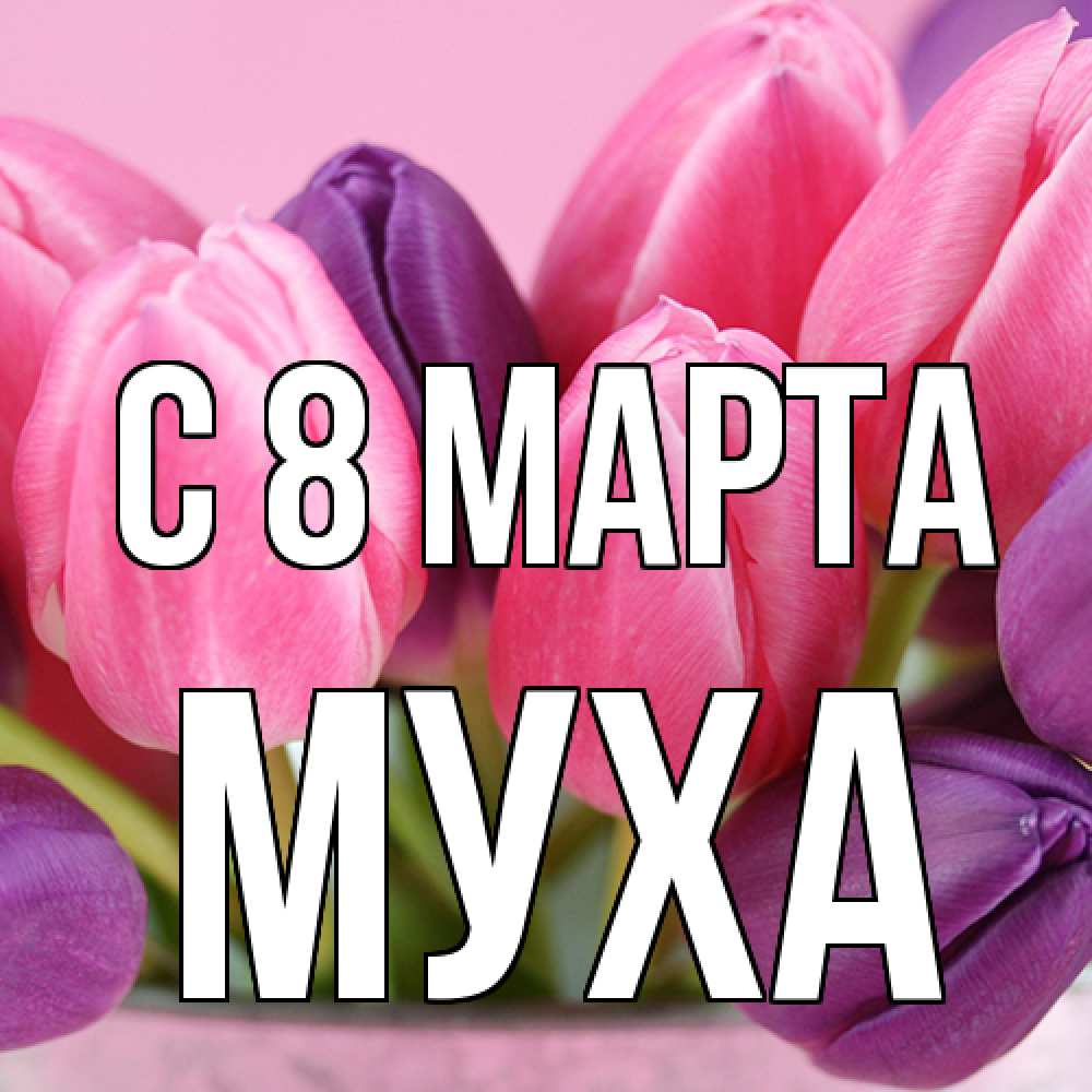 Открытка на каждый день с именем, Муха C 8 МАРТА маме 1 Прикольная открытка с пожеланием онлайн скачать бесплатно 