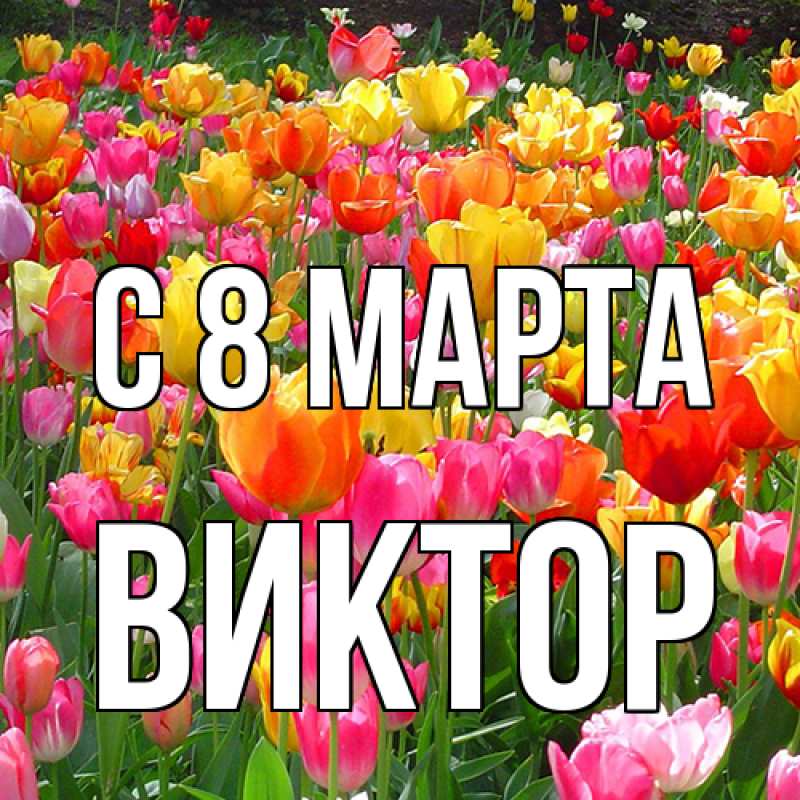 Картинка C 8 МАРТА, Виктор