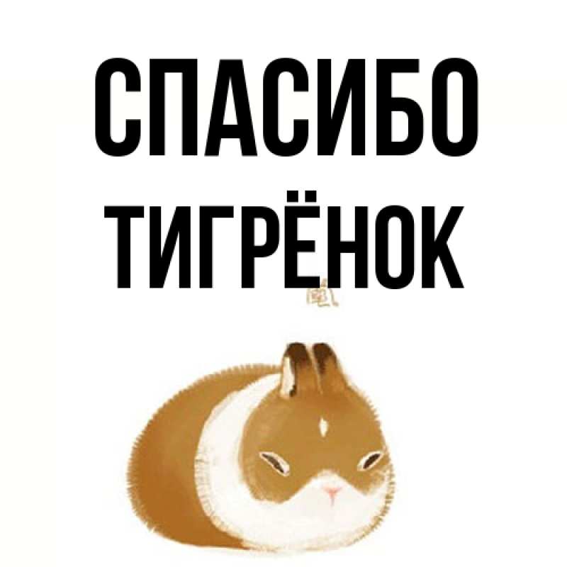 Картинка Спасибо, Тигрёнок