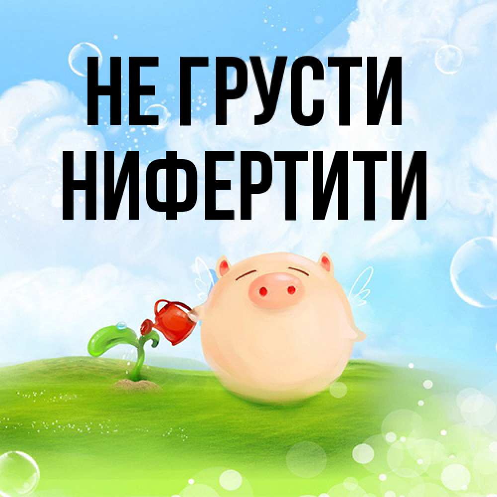 Открытка на каждый день с именем, Нифертити Не грусти поливает цветок порося Прикольная открытка с пожеланием онлайн скачать бесплатно 