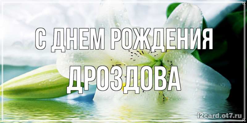 Картинка С днем рождения, Дроздова