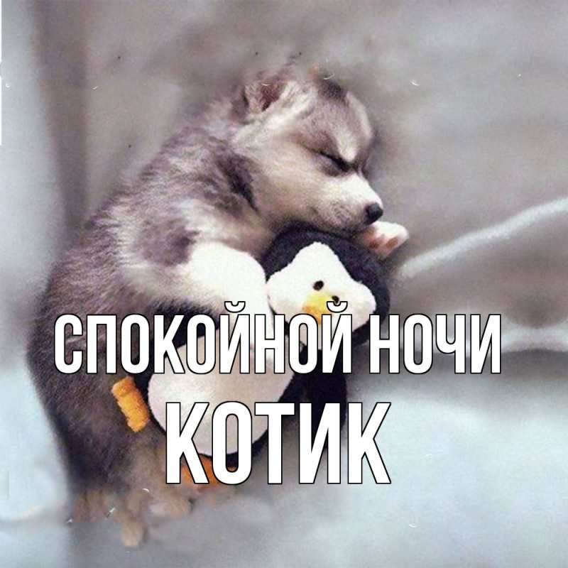 Картинка Спокойной ночи, Котик