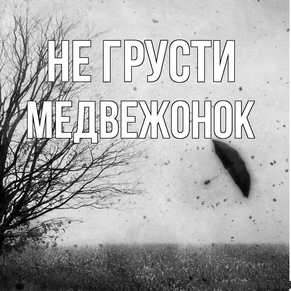 Открытка на каждый день с именем, медвежонок Не грусти летящий зонтик Прикольная открытка с пожеланием онлайн скачать бесплатно 