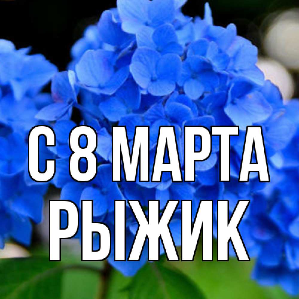 Открытка на каждый день с именем, рыжик C 8 МАРТА синие цветы Прикольная открытка с пожеланием онлайн скачать бесплатно 
