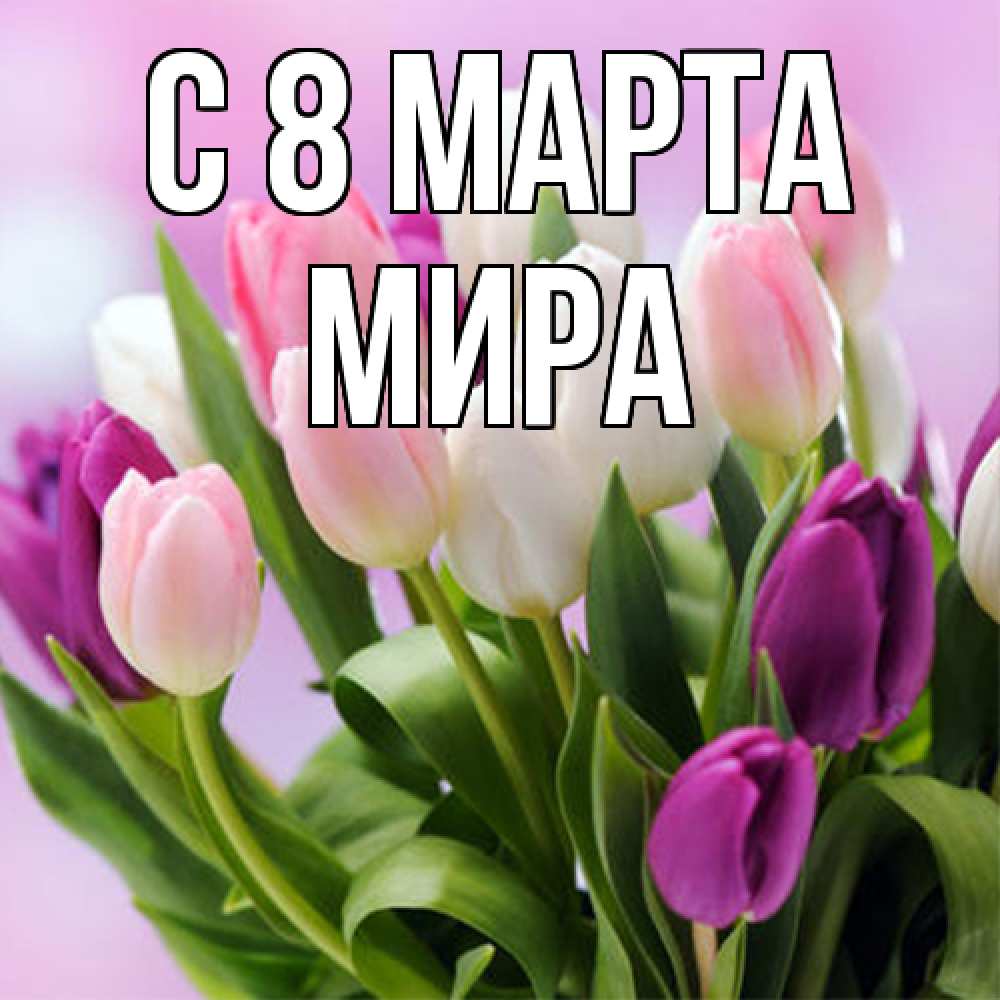 Открытка на каждый день с именем, Мира C 8 МАРТА весна март Прикольная открытка с пожеланием онлайн скачать бесплатно 