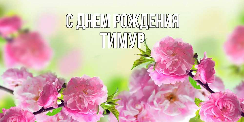Открытка на каждый день с именем, Тимур С днем рождения веточки с цветками Прикольная открытка с пожеланием онлайн скачать бесплатно 
