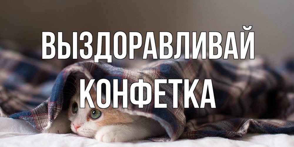Открытка на каждый день с именем, Конфетка Выздоравливай не болейте с котиком Прикольная открытка с пожеланием онлайн скачать бесплатно 