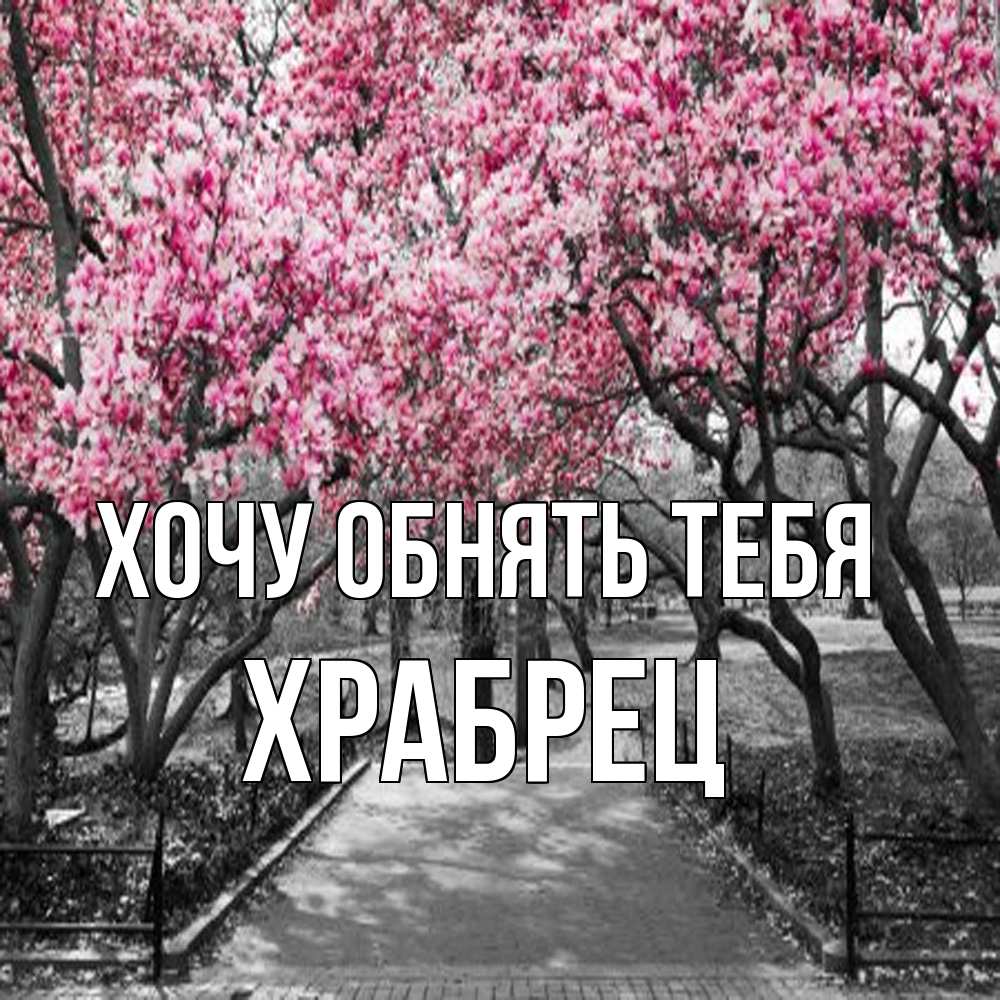Открытка на каждый день с именем, Храбрец Хочу обнять тебя обработанное фото Прикольная открытка с пожеланием онлайн скачать бесплатно 
