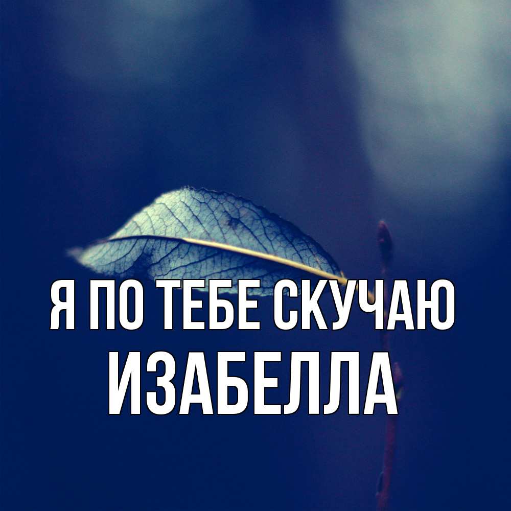 Открытка на каждый день с именем, Изабелла Я по тебе скучаю одна ветка 1 Прикольная открытка с пожеланием онлайн скачать бесплатно 