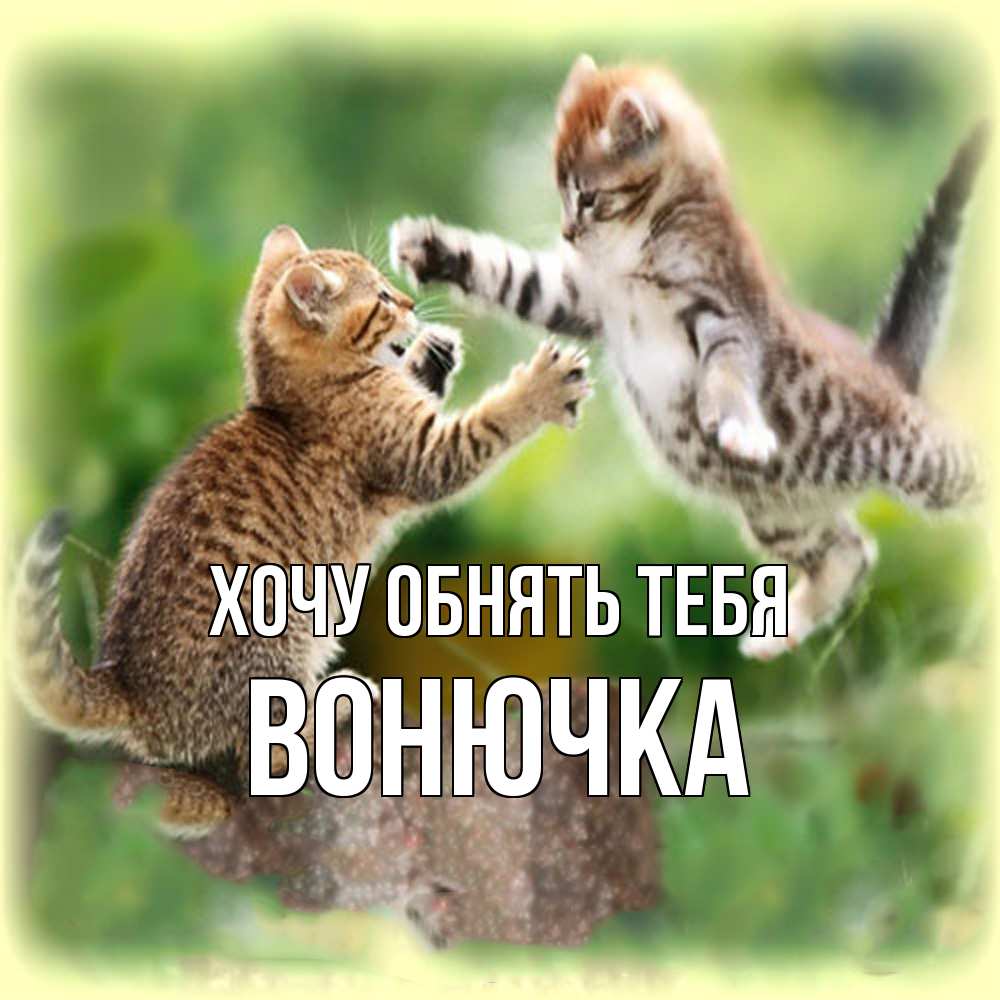 Открытка на каждый день с именем, Вонючка Хочу обнять тебя игры котят Прикольная открытка с пожеланием онлайн скачать бесплатно 