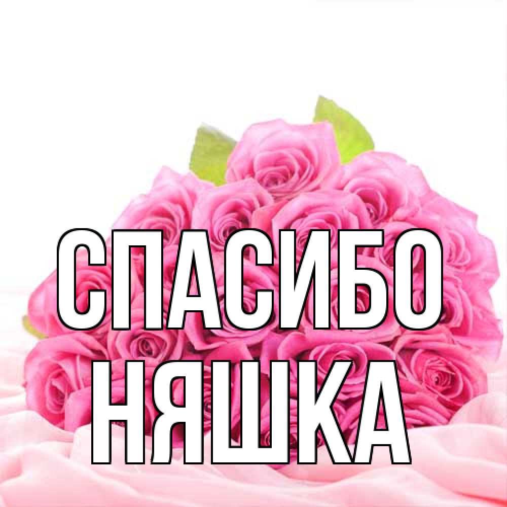Открытка на каждый день с именем, Няшка Спасибо розовые розы с подписью Прикольная открытка с пожеланием онлайн скачать бесплатно 