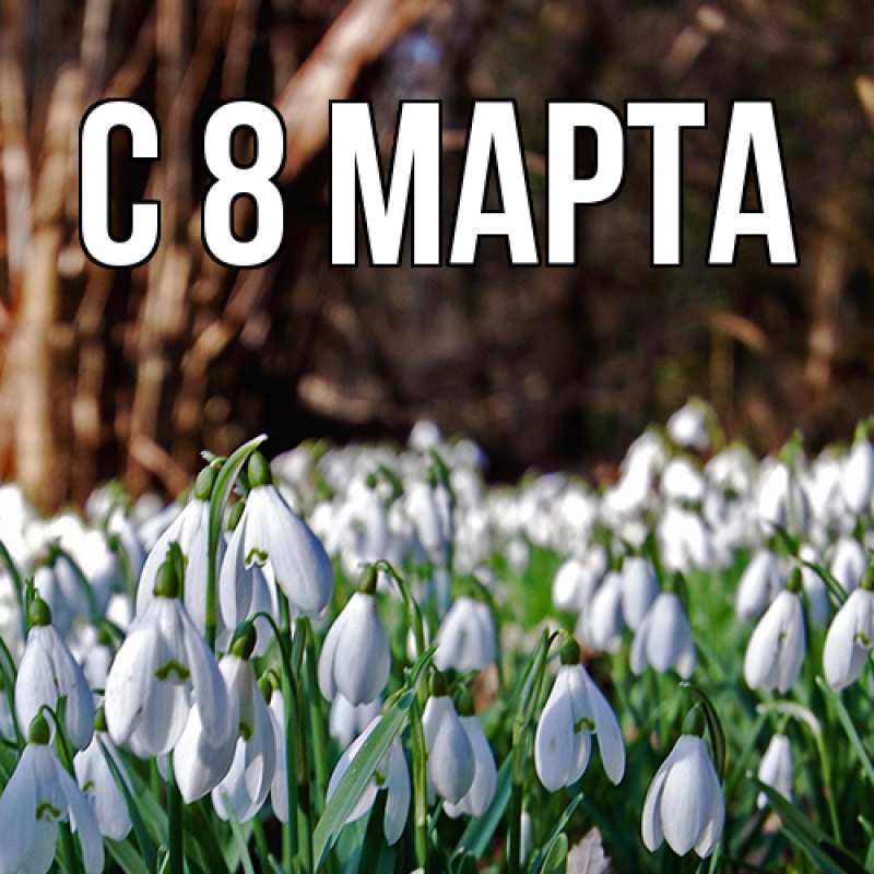 Картинка C 8 МАРТА, 